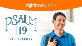 Psalm 119 With Matt Chandler: A 10-Day RightNow Media Devotional