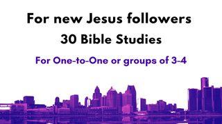 For New Followers of Jesus - 30 Bible Studies