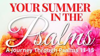 Your Summer in the Psalms: Chapters 11-15