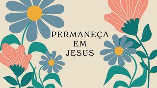 Permaneça em Jesus