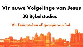 Vir Nuwe Volgelinge Van Jesus - 30 Bybelstudies