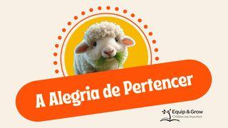 A Alegria De Pertencer