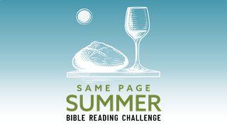 Same Page Summer