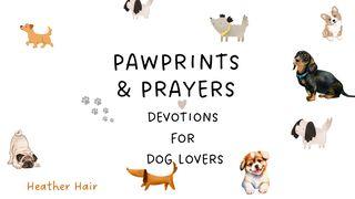 Pawprints & Prayers: Devotions for Dog Lovers