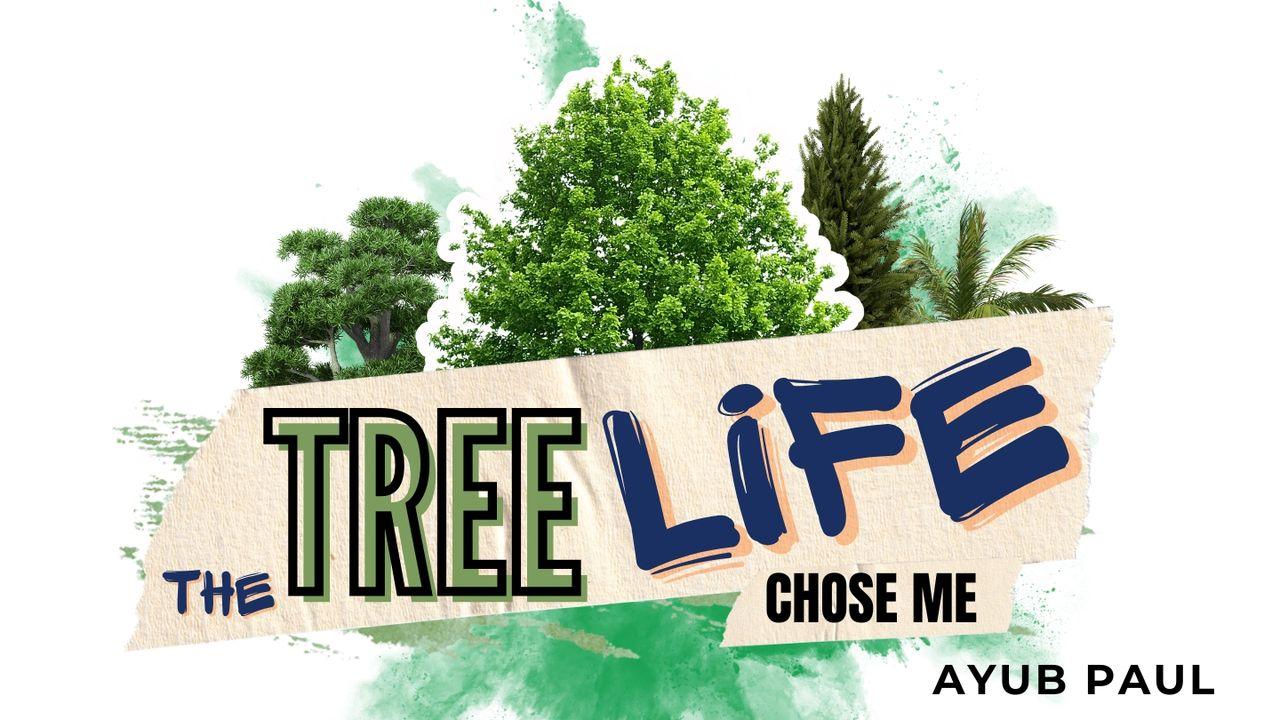 The Tree Life Chose Me