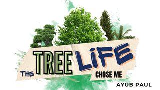 The Tree Life Chose Me