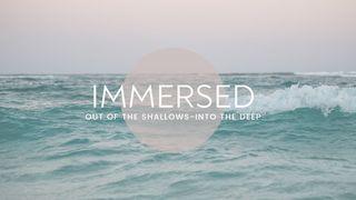 Immersed: Out of the Shallows Into the Deep