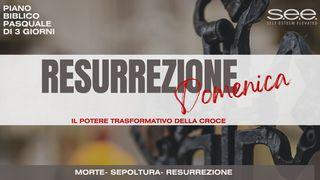 Domenica Di Resurrezione: Il Potere Trasformativo Della Croce