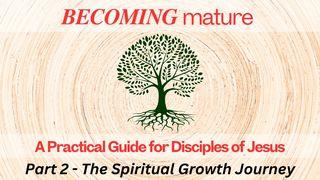 A Practical Guide for Transformative Growth Part 2