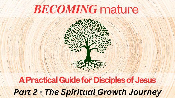 A Practical Guide for Transformative Growth Part 2