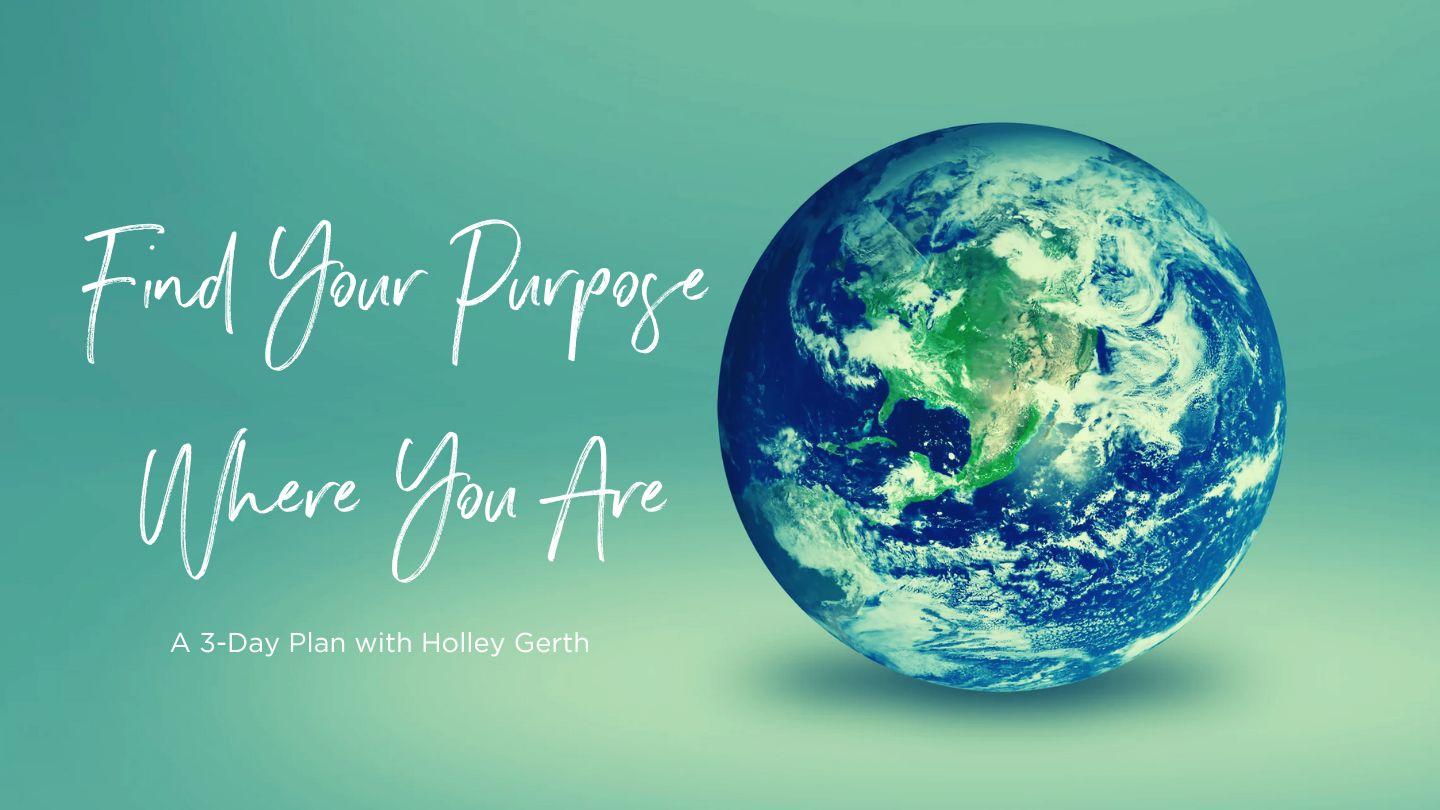 Find Your Purpose Where You Are
