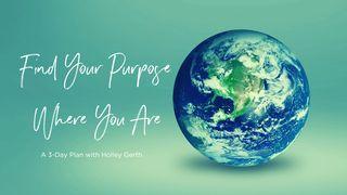 Find Your Purpose Where You Are