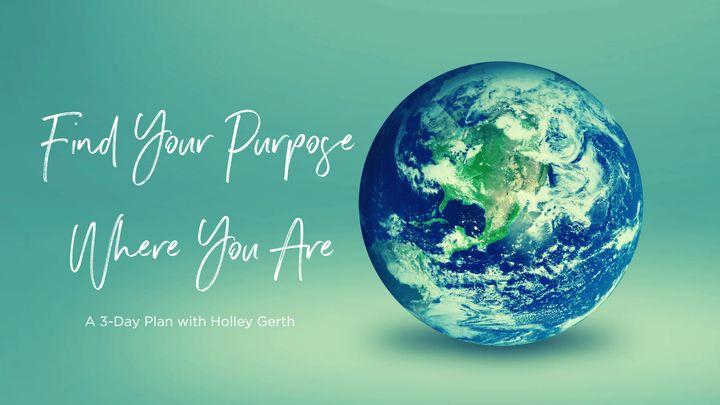 Find Your Purpose Where You Are