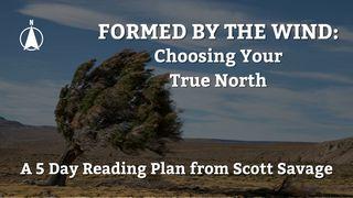 Formed by the Wind: Choosing Your True North