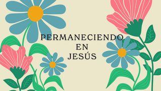 Permaneciendo en Jesús - Llevando Fruto Duradero