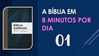 A BÍBLIA EM 8 MINUTOS... por dia!