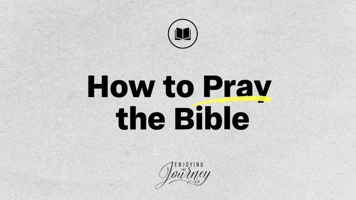 How to Pray the Bible