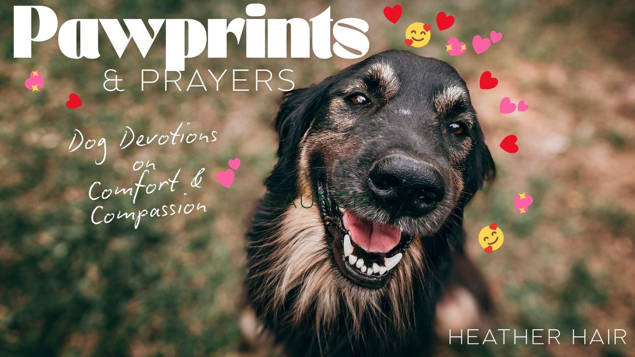 Pawprints & Prayers: Dog Devotions on Comfort and Compassion