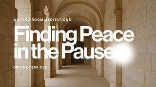 Finding Peace in the Pause