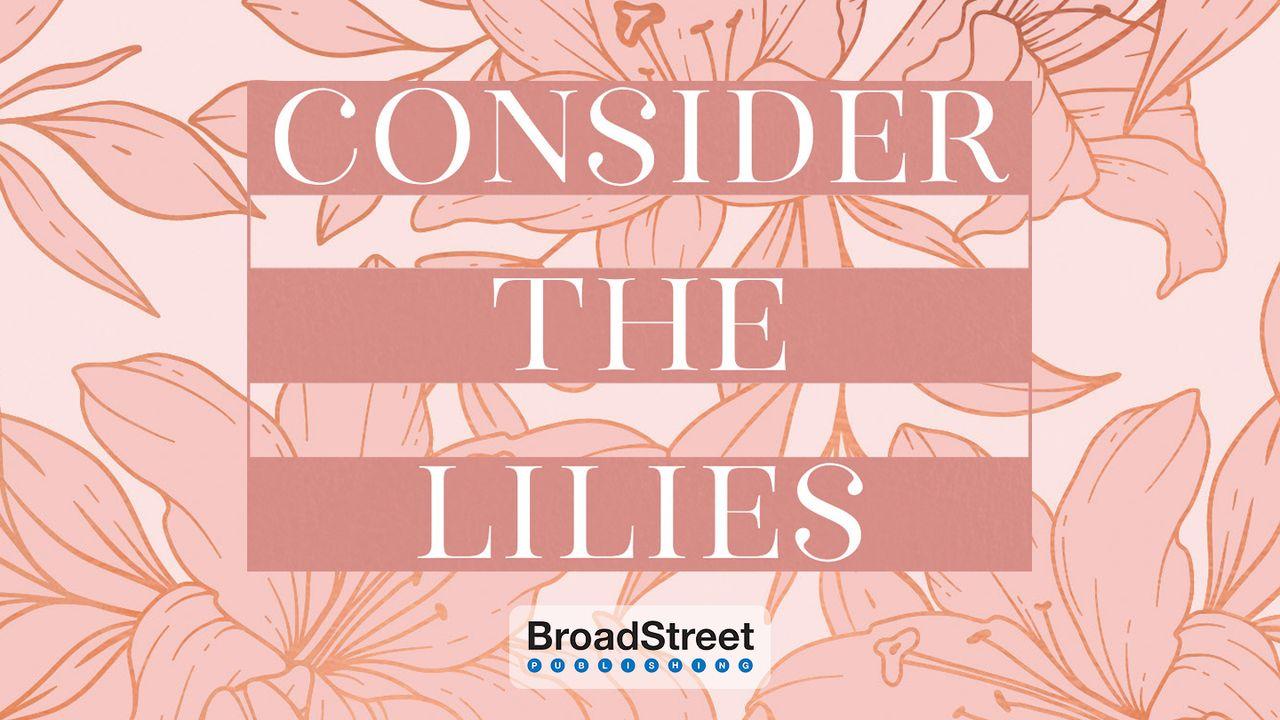 Consider the Lilies