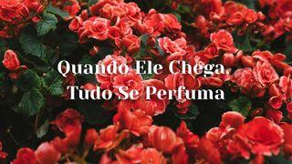 Quando Ele Chega, Tudo Se Perfuma