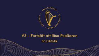 Psaltaråren #3 | Equmeniakyrkan