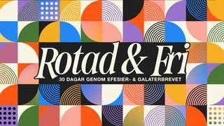 Rotad & Fri – 30 Dagar Genom Efesier- & Galaterbrevet