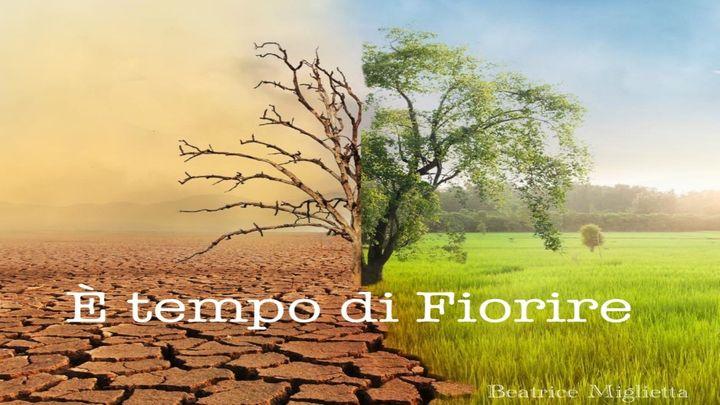 Tempo Di Fiorire