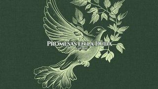 Promesas en la Duda