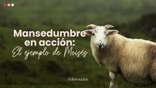 Mansedumbre en Acción: El Ejemplo De Moisés