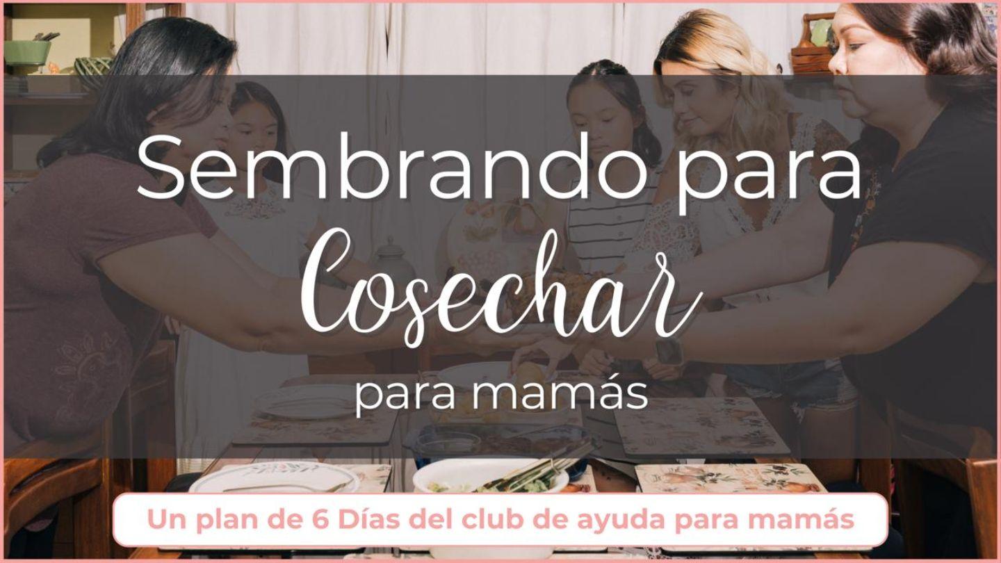 Sembrando Para Cosechar: 6 Días Para El Corazón De Una Mamá Salmos 126:3-4 Reina Valera Contemporánea