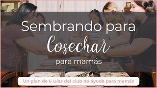 Sembrando Para Cosechar: 6 Días Para El Corazón De Una Mamá