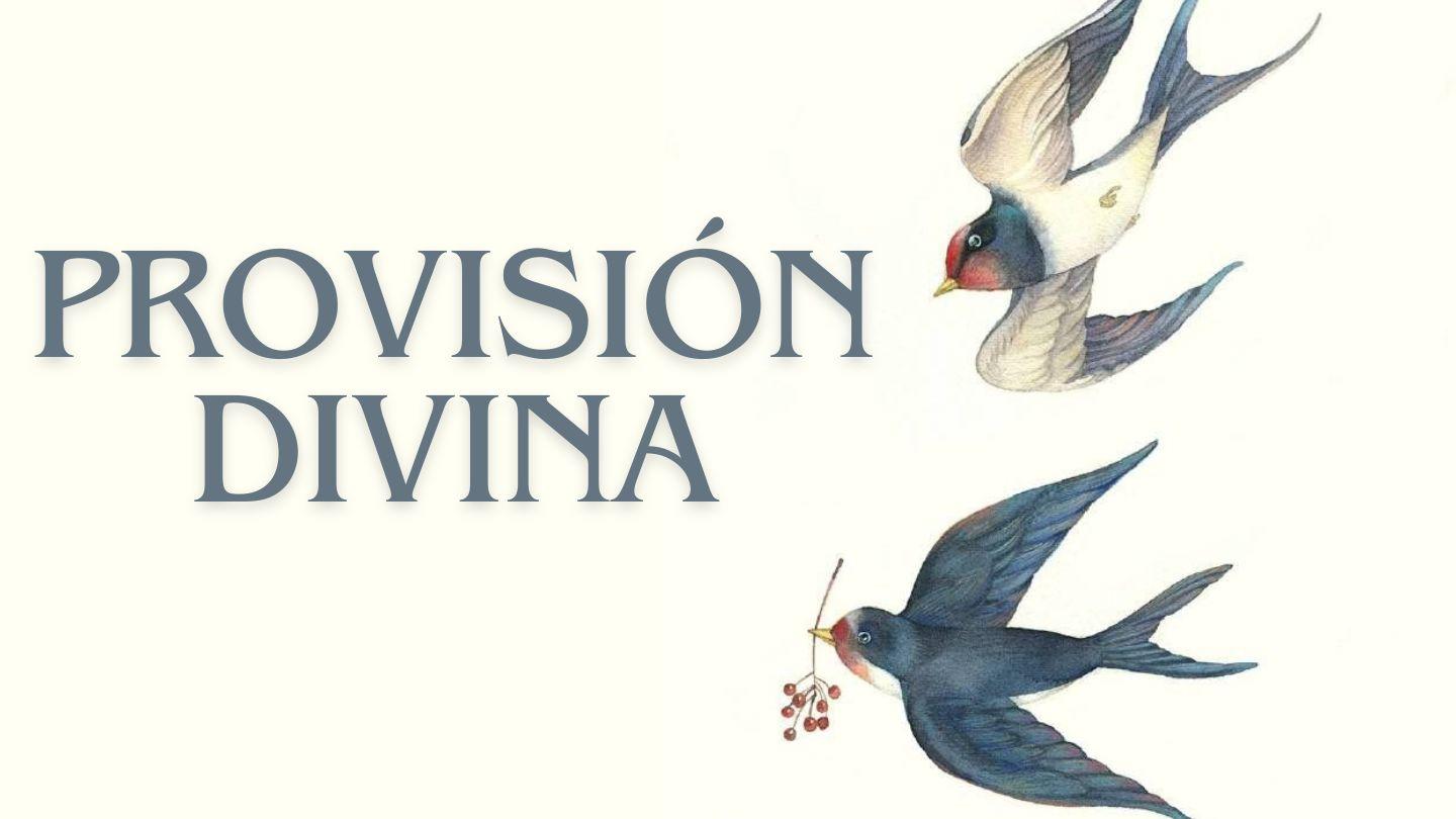 Provisión Divina