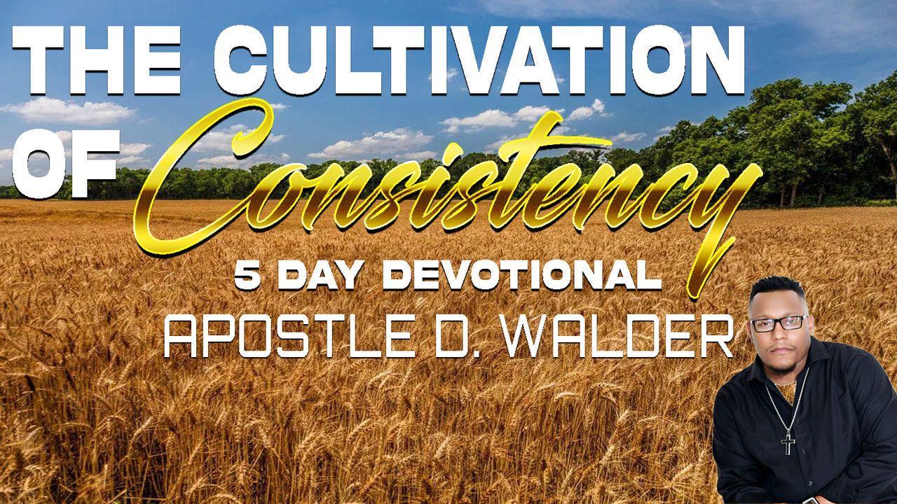 The Cultivation of Consistency