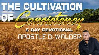 The Cultivation of Consistency