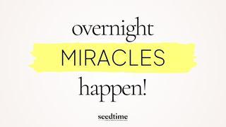 Overnight Miracles Happen!