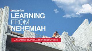 Learning From Nehemiah