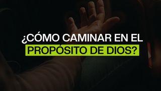 ¿Cómo Caminar en El Propósito De Dios?