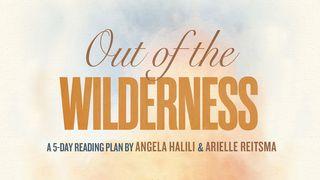 Out of the Wilderness