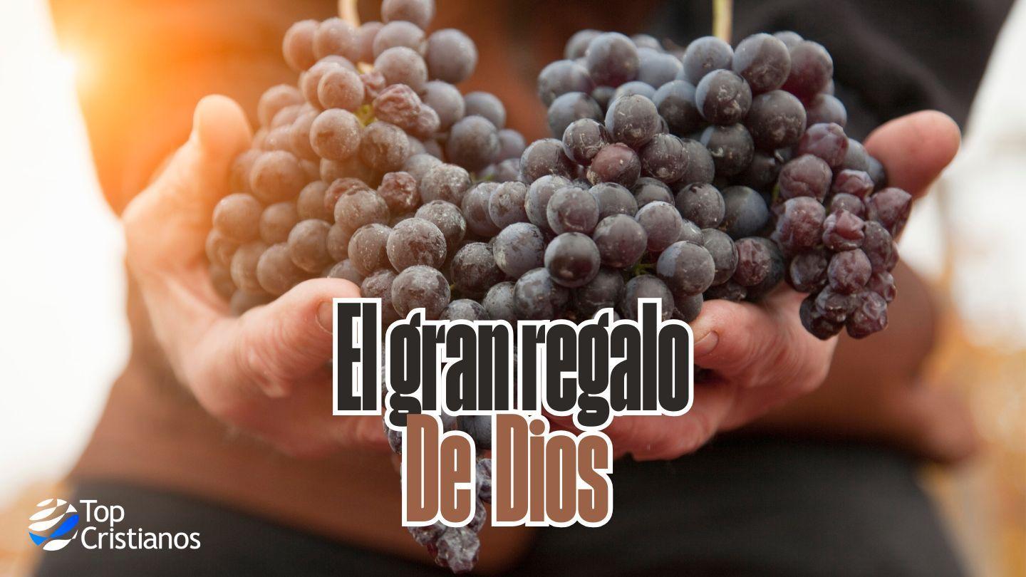 El Gran Regalo De Dios
