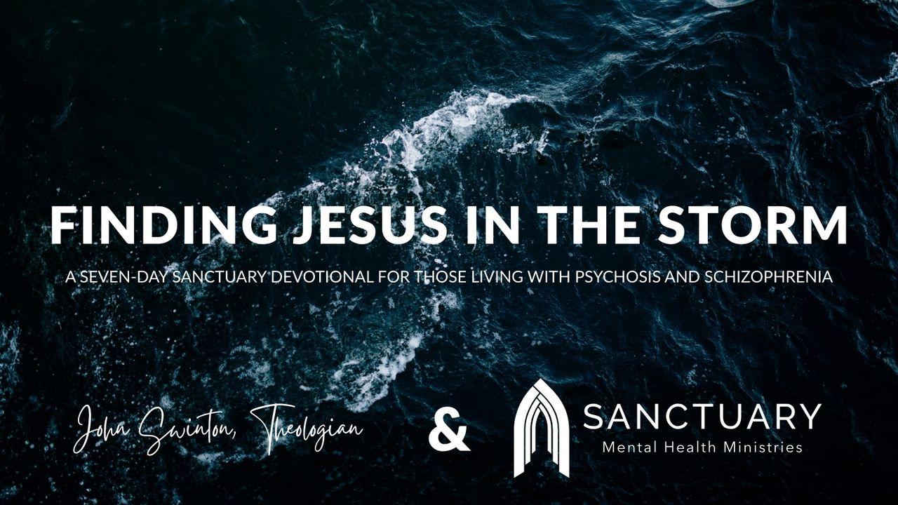 Finding Jesus in the Storm: A Devotional for Those Living With Psychosis and Schizophrenia