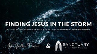 Finding Jesus in the Storm: A Devotional for Those Living With Psychosis and Schizophrenia