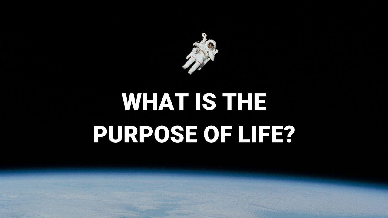 The Purpose of Life