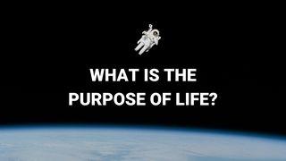 The Purpose of Life