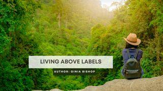 Living Above Labels