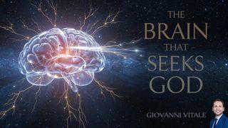 THE BRAIN THAT SEEKS GOD: Neuroscience and Faith in Search of the Infinite