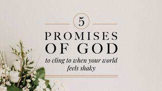 Love God Greatly - 5 Promises of God to Cling to When Your World Feels Shaky