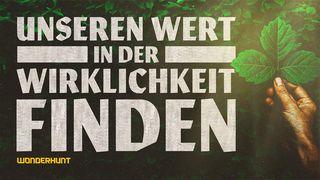 Unseren Wert in Der Wirklichkeit Finden