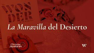 La Maravilla Del Desierto