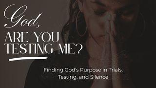God, Are You Testing Me?